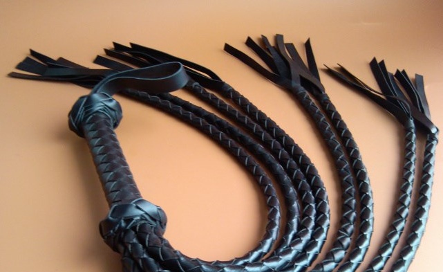 Bold whip — image 3