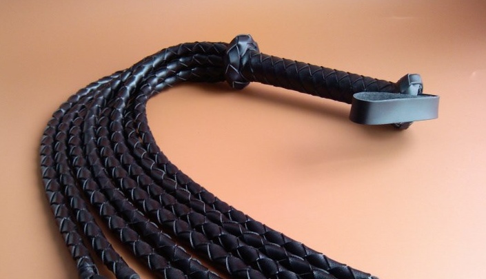 Bold whip — image 5