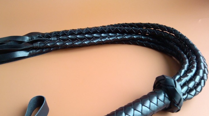 Bold whip — image 4