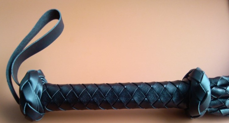 Bold whip — image 2